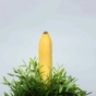 banana poking out of bush