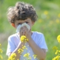 Child blowing nose in flower field