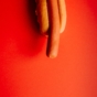 hot dog in bun