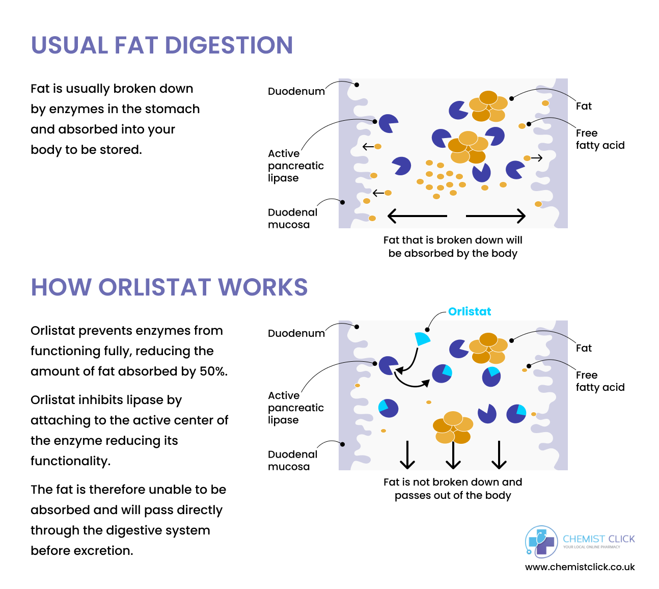 Orlistat mechanism of action