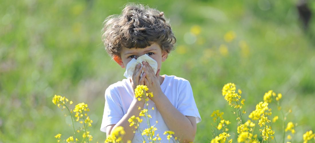 Child blowing nose in flower field