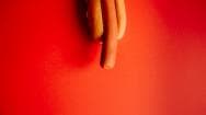 A picture of a hot dog on a red background