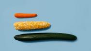 a carrot, corn, and cucumber on blue background