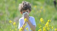 Child blowing nose in flower field