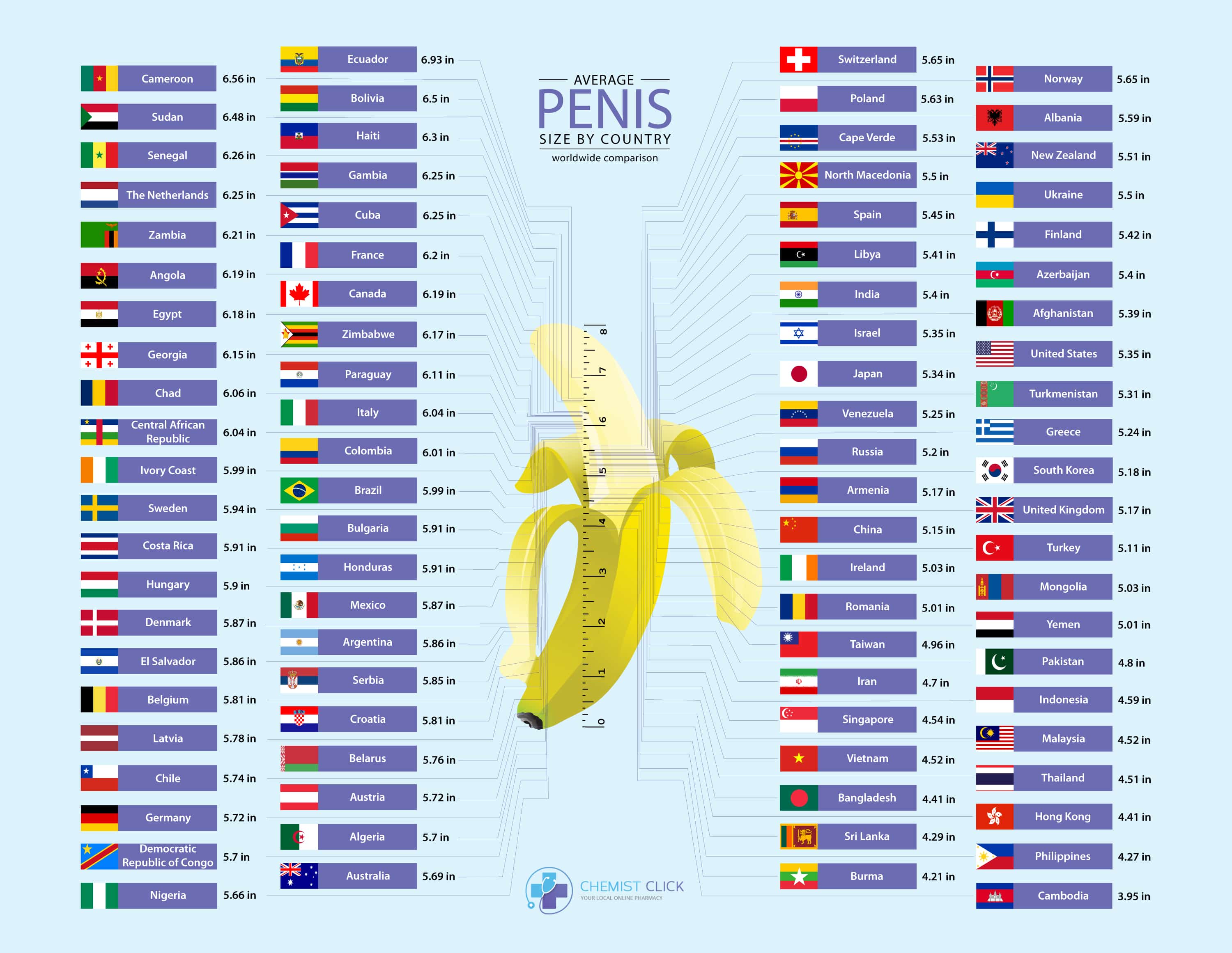 Donky dick average size